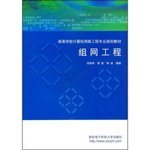組網(wǎng)工程 計(jì)算機(jī)系統(tǒng)集成的理論與實(shí)踐
