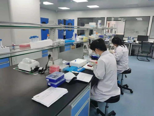 奮進正當時 固安產(chǎn)業(yè)新城的“犇”騰之勢與電氣科技新浪潮